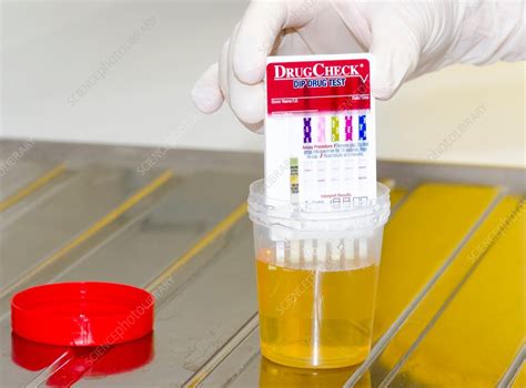 sealed urine for drug testing